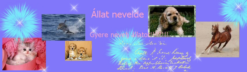 llatnevelde